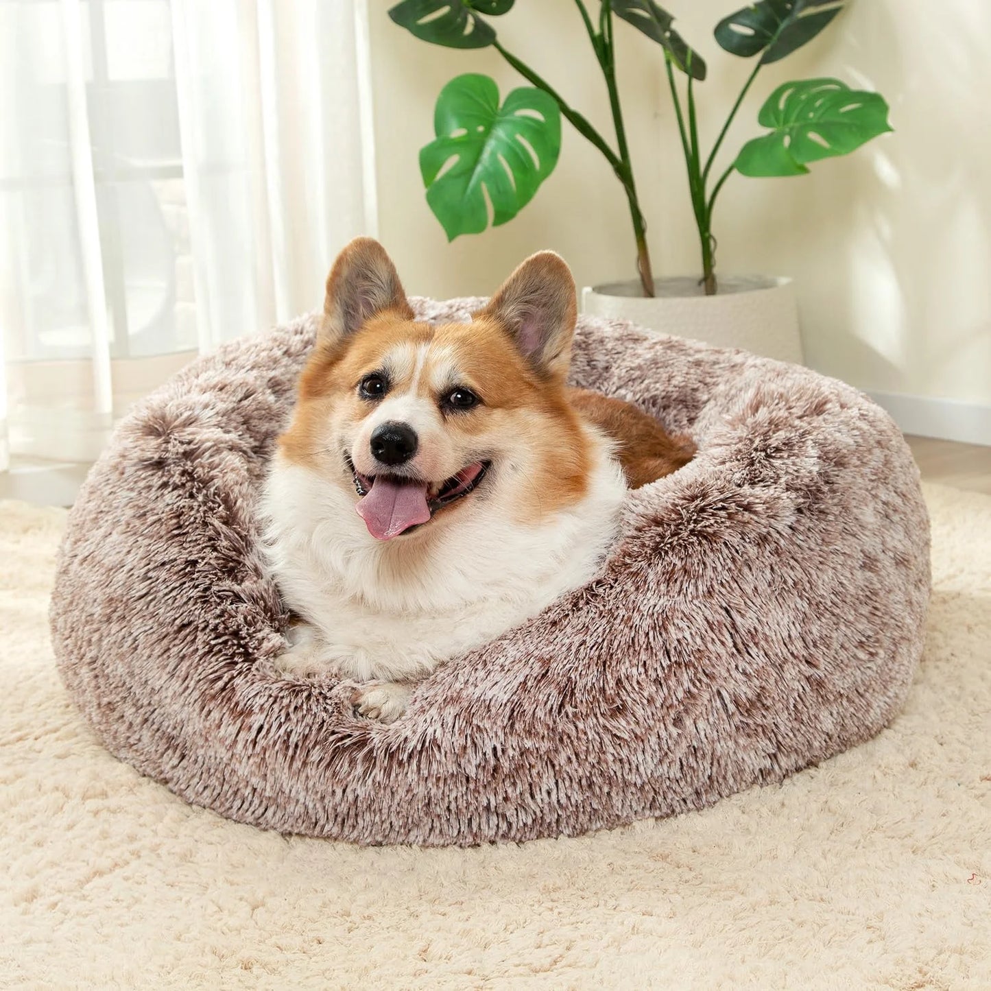 Round Cat Beds House Soft Long Plush Best Pet Dog Bed For Dogs Basket Pet Products Cushion Cat Bed Cat Mat Animals Sleeping Sofa