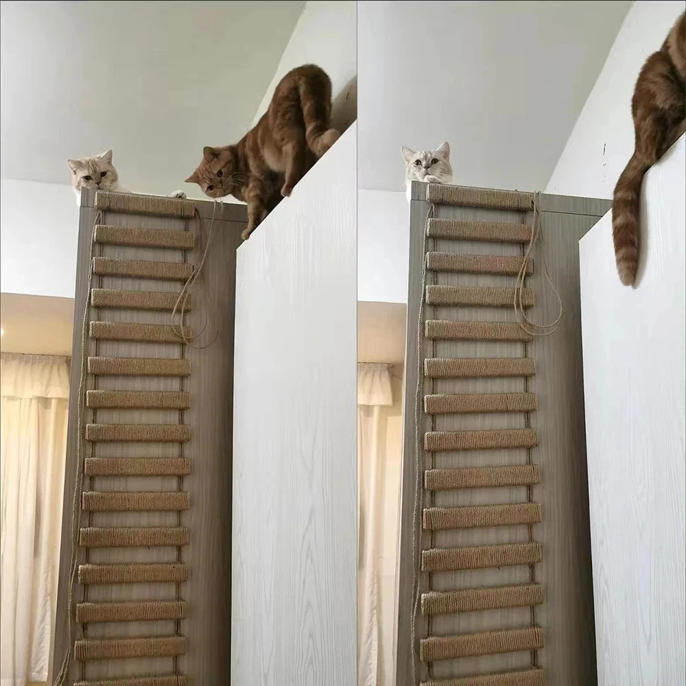 50CM/100CM Sisal Rope or Wooden Ladder Cat Climbing Frame Playing Cat Bridge Pet Indoor Outdoor Furniture Cat Supplies